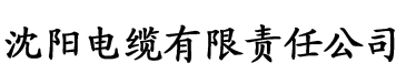 深夜网电缆厂logo